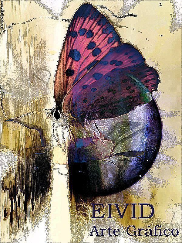 グラフィックデザイン, がか、Eivid, dibujante y artista grafico