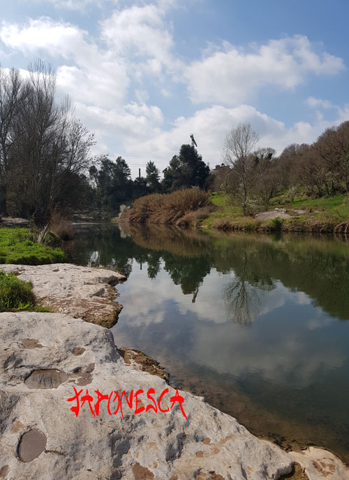 Río Llobregat